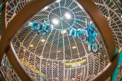 250406_ABW_2025_782