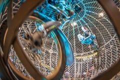 250406_ABW_2025_809