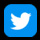 footer twitter icon